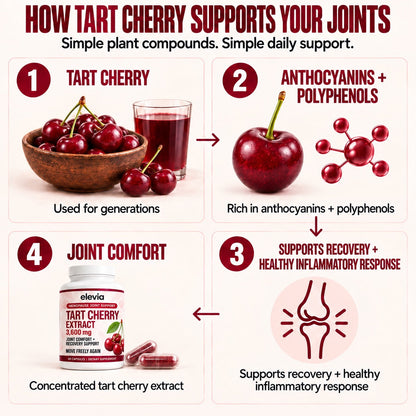 Tart Cherry Extract